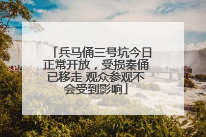 兵马俑三号坑今日正常开放，受损秦俑已移走 观众参观不会受到影响